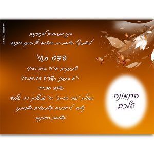 הזמנה בת מצווה גודל 12/17 דגם 18